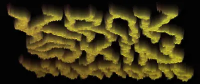 logo Krok Skin Nekrosis